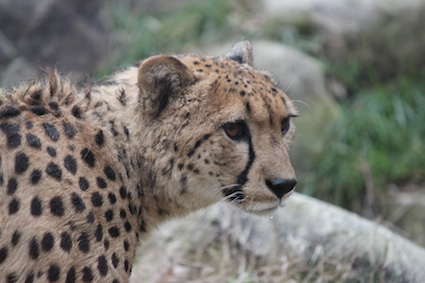 071208`[^[Abv.JPG